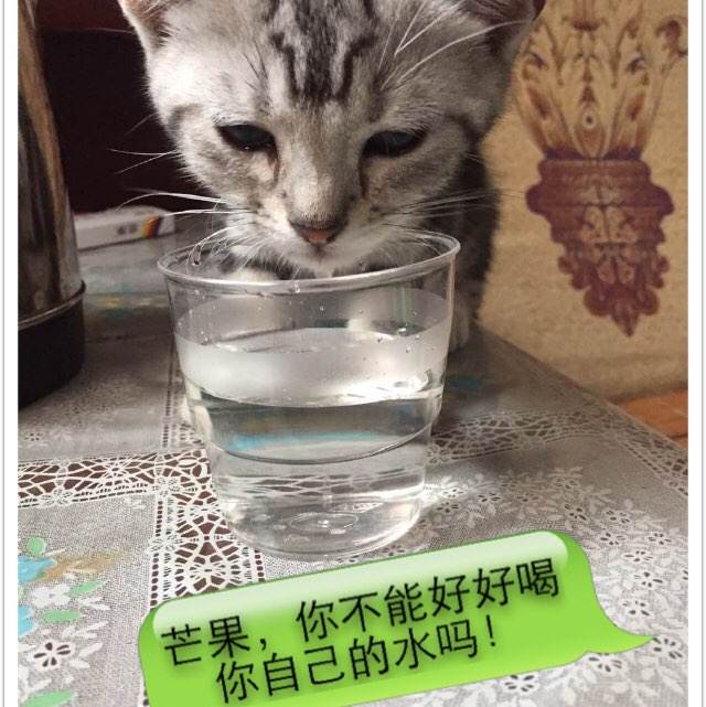 辛辛纳提大学留信网认证办理
